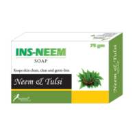 INS-NEEM